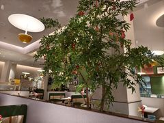 -Aqua Oasis 水天堂(太湖中心mall店)