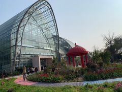 -南山植物园