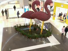 -凯德广场(学府店)