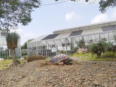 -南通洲际绿博园