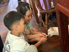 -豌豆小院咖啡馆