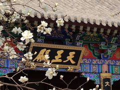-护国法轮寺