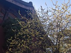 -钱王祠
