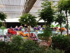 -南宫五洲植物乐园