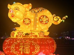 -万绿园