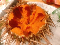 -千代武日本料理(哈西店)
