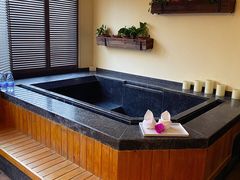 -春晖园度假酒店温泉