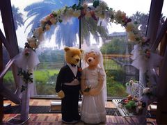 -济州岛泰迪熊博物馆