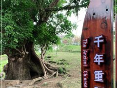 -蔡家宅