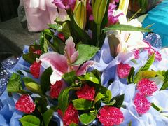 android_upload_pic-盛世荣兰花艺