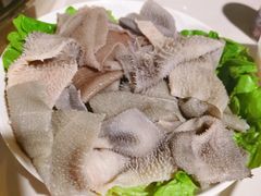 -枇杷园食为鲜火锅(南山店)