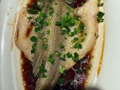 清蒸鲈鱼-千日贺茶餐厅(高新万达店)