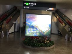 -厦门五通客运码头