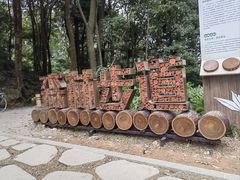 -广州市帽峰山景区