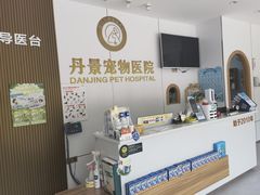 -丹景宠物医院·全科·老年病·牙科(武昌诊疗中心)