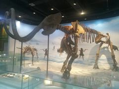 -辽宁古生物博物馆