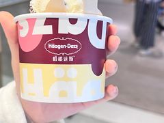 夏威夷果仁品脱冰淇淋-哈根达斯(芳圆里店)