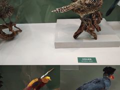 -国家自然博物馆