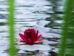 -上海植物园-4号门售票处