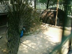 -意大利农场度假村