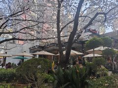 -玛格萝妮比萨屋(四平店)