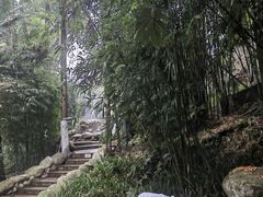 -三江森林温泉度假区