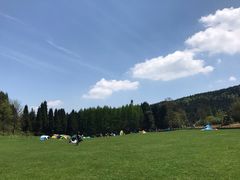 -武陵山森林公园