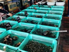 -浩运·海鲜青岛菜·海胆水饺(石老人店)