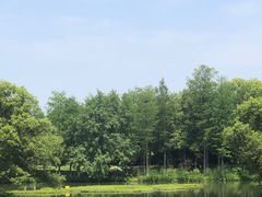 -西溪国家湿地公园