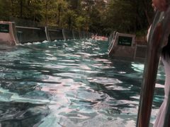 -花水湾第一村温泉大酒店