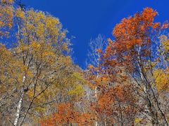 -叠溪松坪沟景区