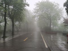 -茶颜悦色(岳麓山顶店)