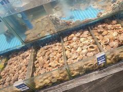 -望海湾鱼头泡饼·天津菜(空港店)