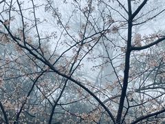 -萍乡武功山风景名胜区