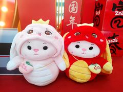 -沈阳南站