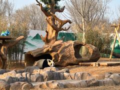 -秦皇岛野生动物园