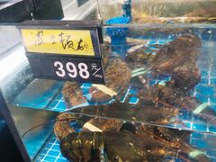 -闽海肴(北辰荟店)