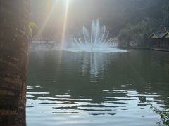 -西双版纳原始森林公园