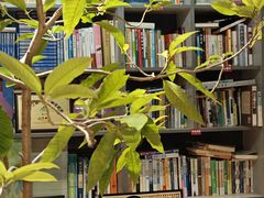 -谷咖啡·鲜花绿植花园餐厅