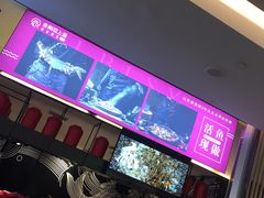 -老板恋上鱼(荣盛广场店)