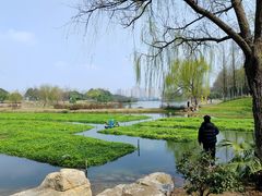 -洋湖国家湿地公园