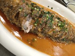 -老雒阳面馆·水席(定鼎门店)