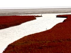 -红海滩国家风景廊道