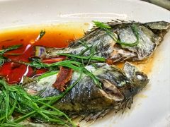 -龙溪海鲜酒家(溪涌店)