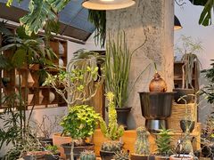 -自由生长植物工作室(深港花卉中心店)