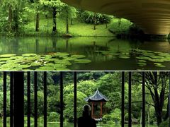 -云溪植物园