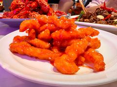 -杨氏青龙虾·羊蝎子(托乐嘉店)