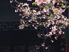 -惠山古镇·寄畅园