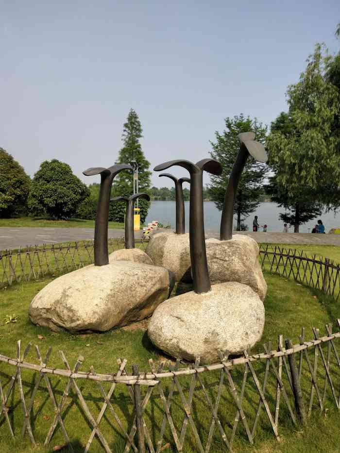 华侨城生态艺术公园-"这个生态艺术公园在东湖旁边,可以直接看到.