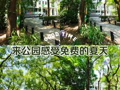 -上海共青森林公园